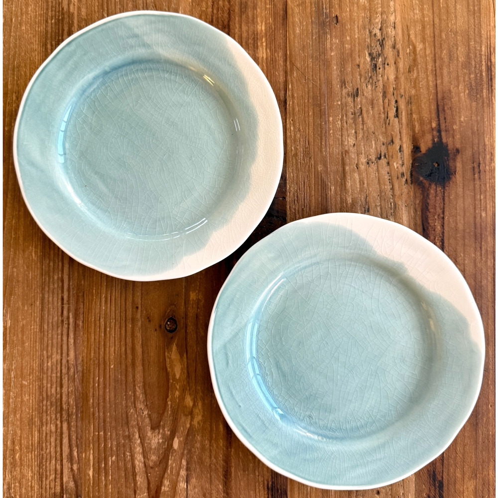Set of 2 Anthropologie Cabarita Side Plates Salad Crackle Glaze Gather Drip HTF